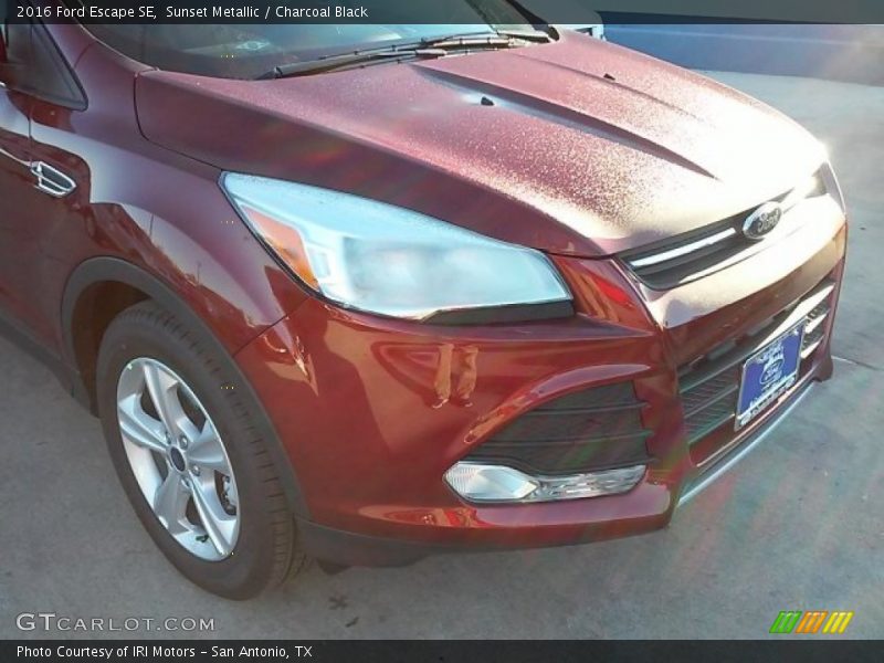 Sunset Metallic / Charcoal Black 2016 Ford Escape SE