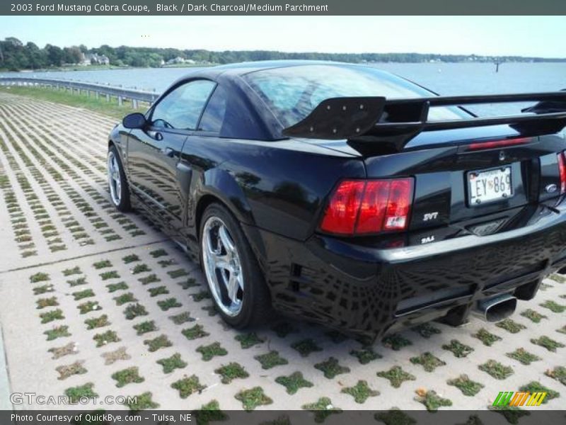 Black / Dark Charcoal/Medium Parchment 2003 Ford Mustang Cobra Coupe