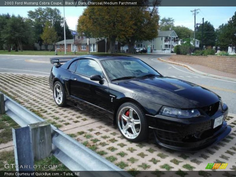 Black / Dark Charcoal/Medium Parchment 2003 Ford Mustang Cobra Coupe