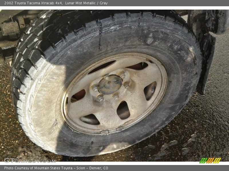 Lunar Mist Metallic / Gray 2002 Toyota Tacoma Xtracab 4x4