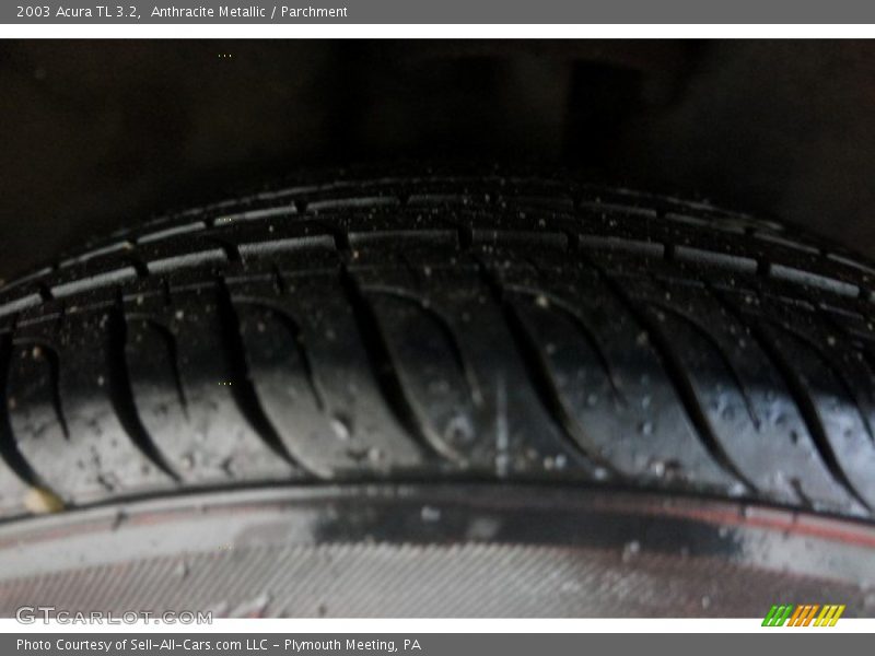 Anthracite Metallic / Parchment 2003 Acura TL 3.2