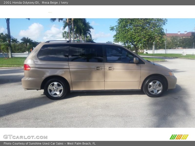 Mesa Beige / Ivory 2001 Honda Odyssey EX