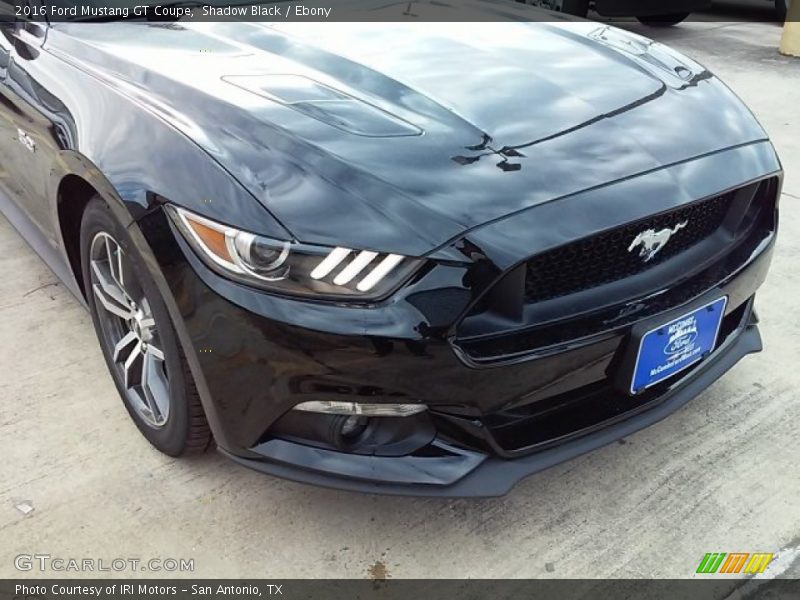 Shadow Black / Ebony 2016 Ford Mustang GT Coupe