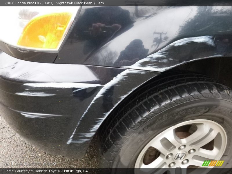 Nighthawk Black Pearl / Fern 2004 Honda Pilot EX-L 4WD