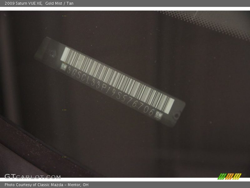 Gold Mist / Tan 2009 Saturn VUE XE