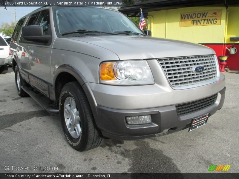 Silver Birch Metallic / Medium Flint Grey 2005 Ford Expedition XLT