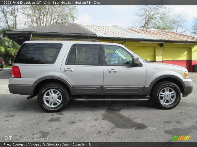 Silver Birch Metallic / Medium Flint Grey 2005 Ford Expedition XLT