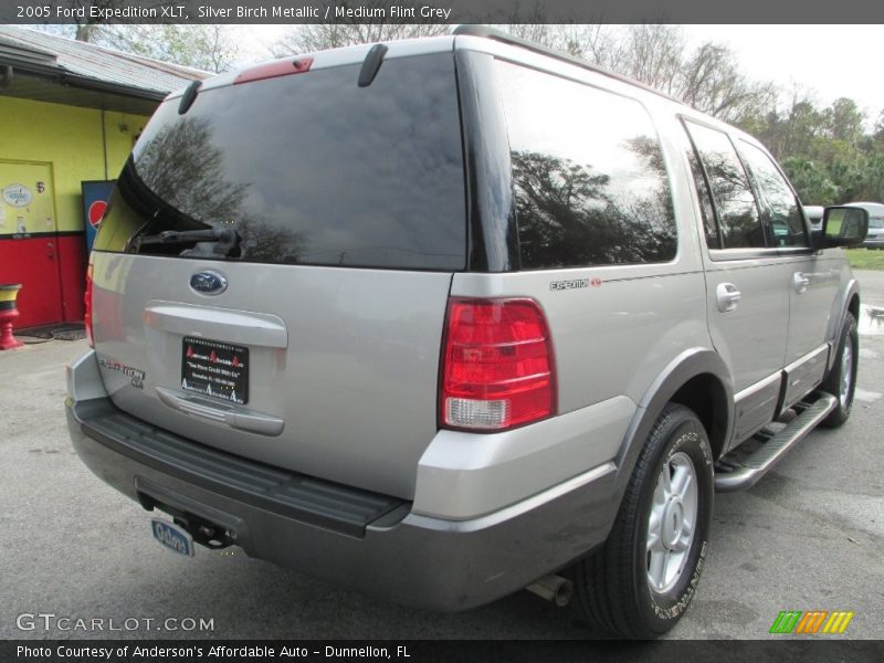 Silver Birch Metallic / Medium Flint Grey 2005 Ford Expedition XLT