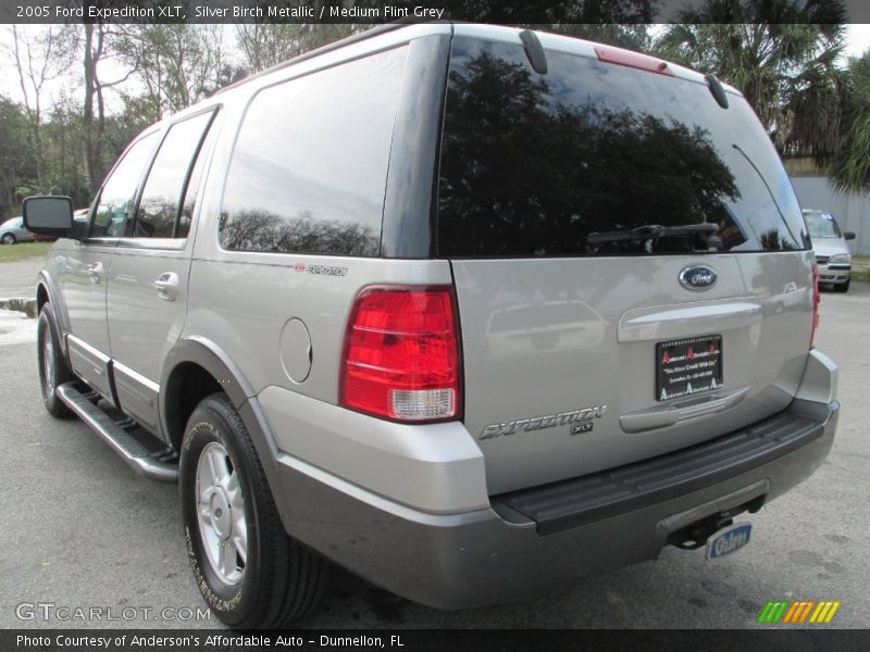 Silver Birch Metallic / Medium Flint Grey 2005 Ford Expedition XLT