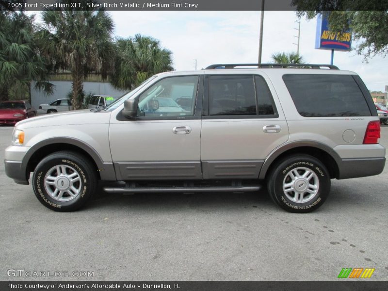 Silver Birch Metallic / Medium Flint Grey 2005 Ford Expedition XLT