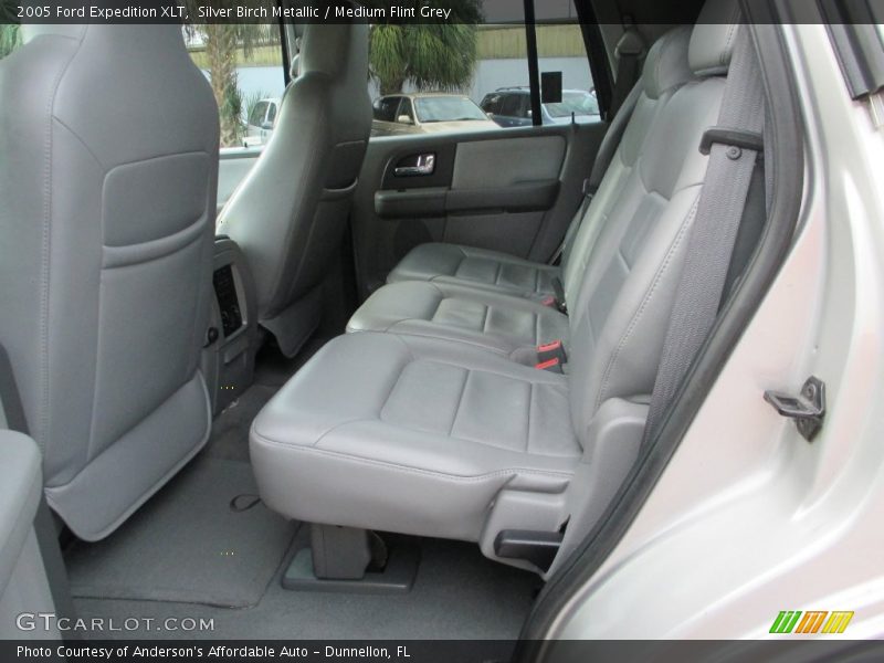 Silver Birch Metallic / Medium Flint Grey 2005 Ford Expedition XLT