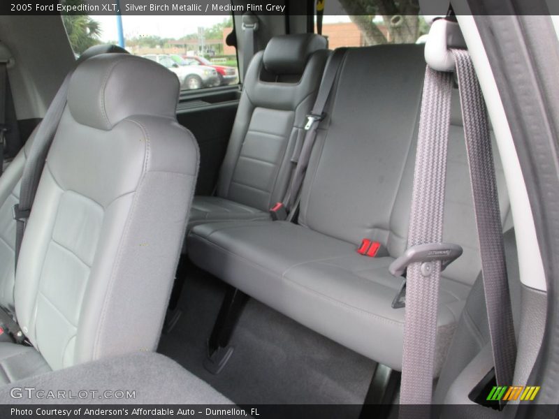 Silver Birch Metallic / Medium Flint Grey 2005 Ford Expedition XLT