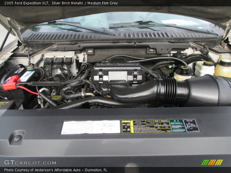 Silver Birch Metallic / Medium Flint Grey 2005 Ford Expedition XLT