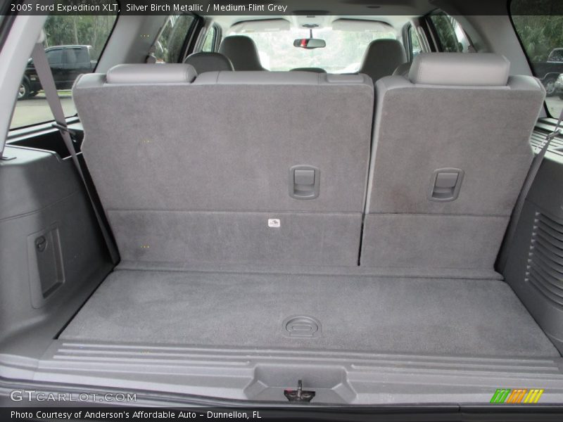 Silver Birch Metallic / Medium Flint Grey 2005 Ford Expedition XLT
