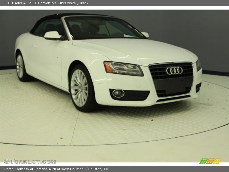 Ibis White / Black 2011 Audi A5 2.0T Convertible