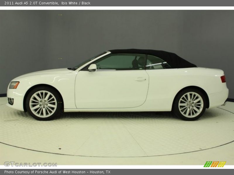 Ibis White / Black 2011 Audi A5 2.0T Convertible