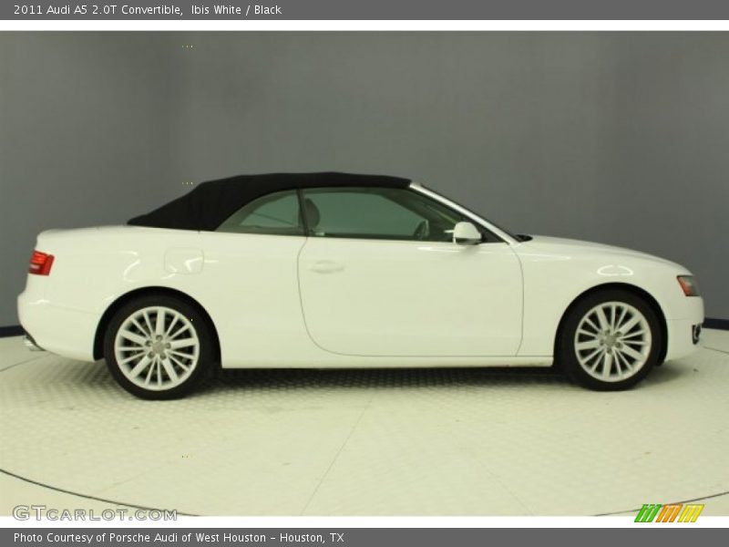 Ibis White / Black 2011 Audi A5 2.0T Convertible