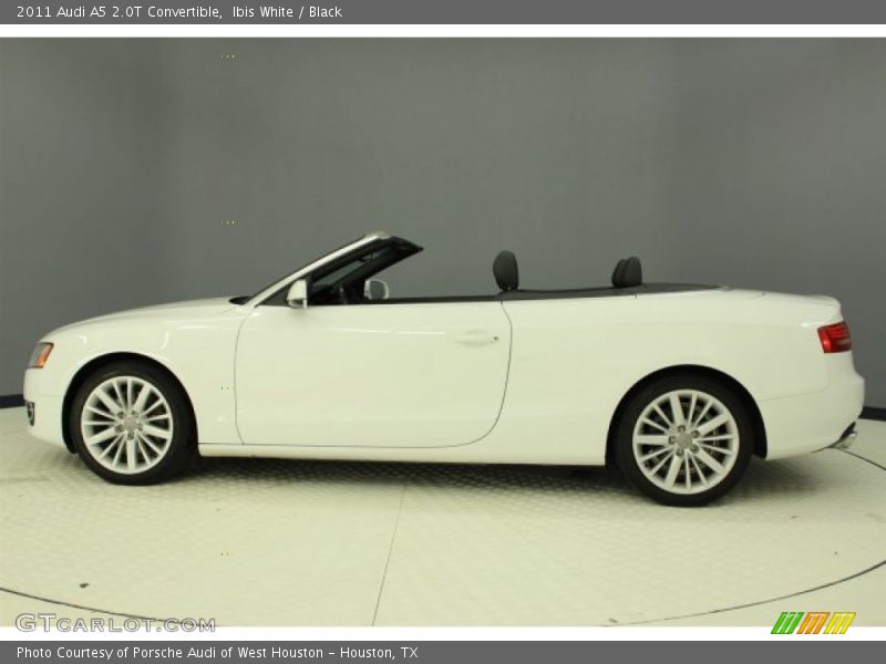 Ibis White / Black 2011 Audi A5 2.0T Convertible
