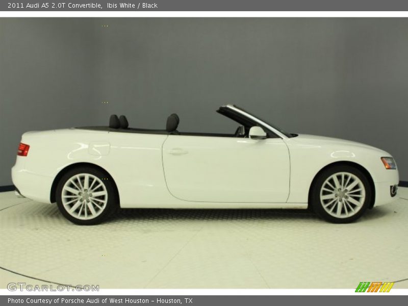 Ibis White / Black 2011 Audi A5 2.0T Convertible