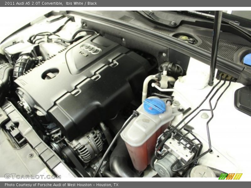 Ibis White / Black 2011 Audi A5 2.0T Convertible