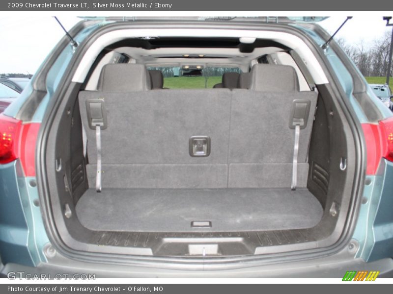 Silver Moss Metallic / Ebony 2009 Chevrolet Traverse LT