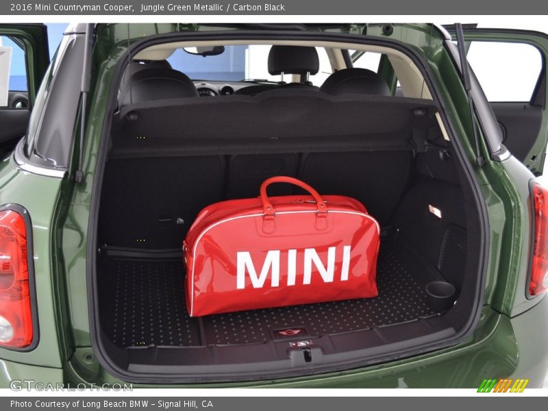 Jungle Green Metallic / Carbon Black 2016 Mini Countryman Cooper
