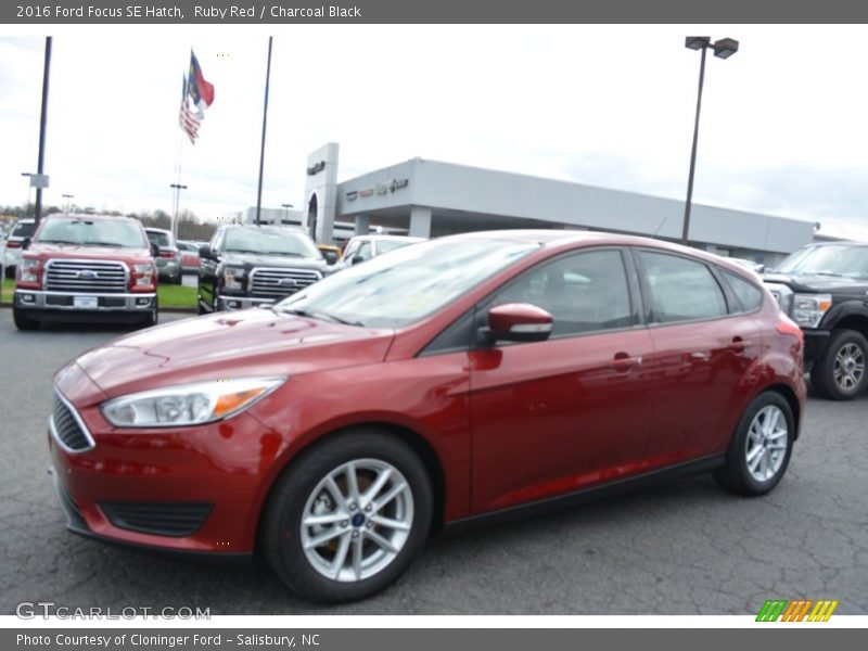 Ruby Red / Charcoal Black 2016 Ford Focus SE Hatch