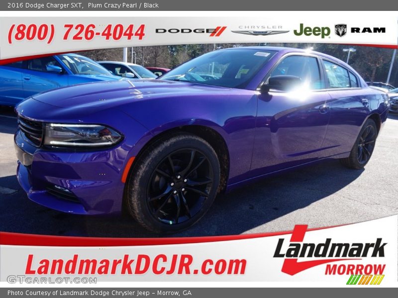 Plum Crazy Pearl / Black 2016 Dodge Charger SXT