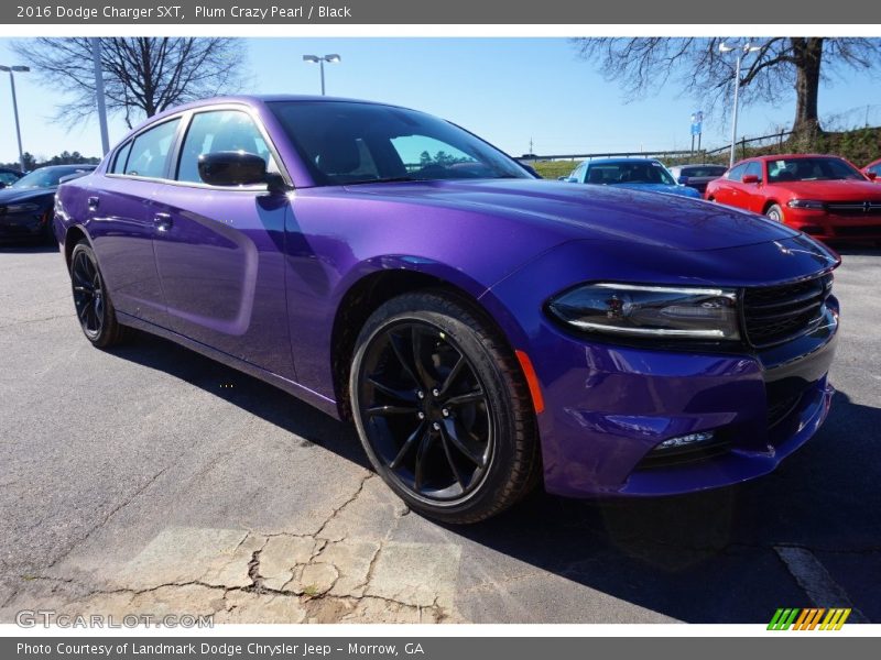 Plum Crazy Pearl / Black 2016 Dodge Charger SXT
