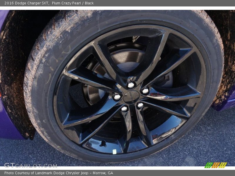 Plum Crazy Pearl / Black 2016 Dodge Charger SXT