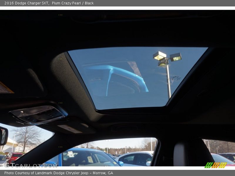 Plum Crazy Pearl / Black 2016 Dodge Charger SXT