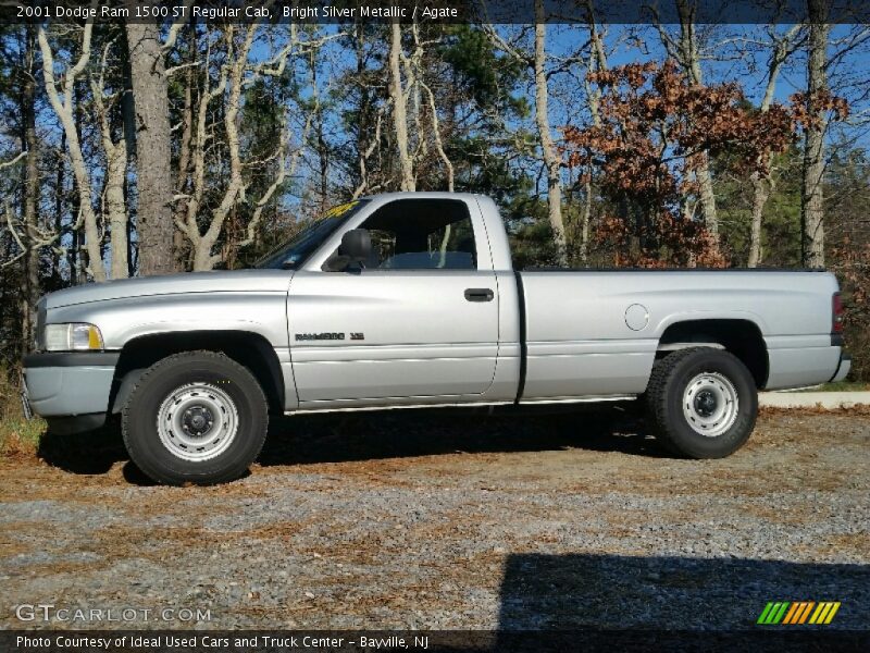 Bright Silver Metallic / Agate 2001 Dodge Ram 1500 ST Regular Cab