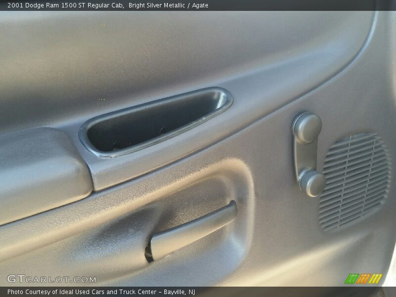 Bright Silver Metallic / Agate 2001 Dodge Ram 1500 ST Regular Cab