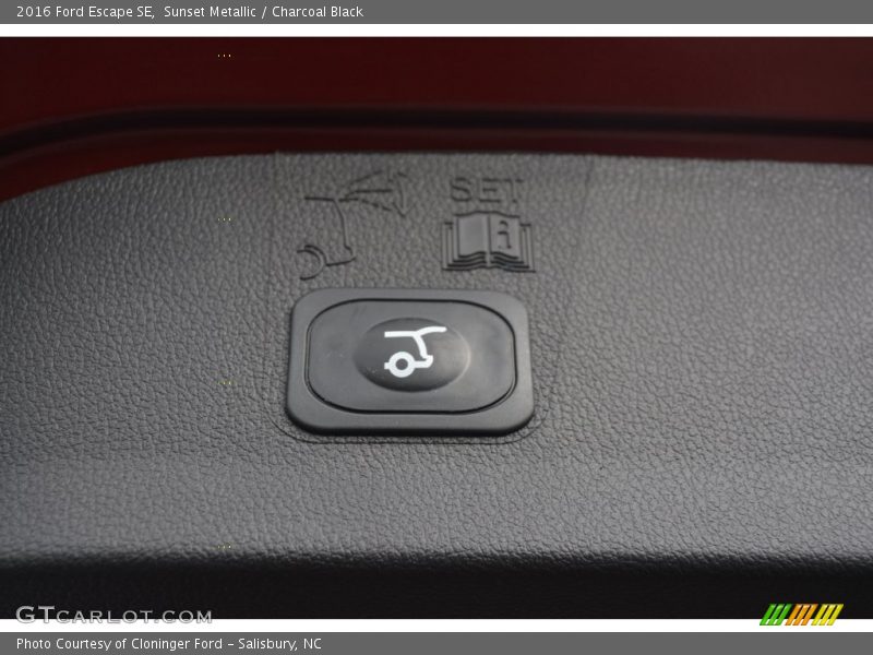 Sunset Metallic / Charcoal Black 2016 Ford Escape SE
