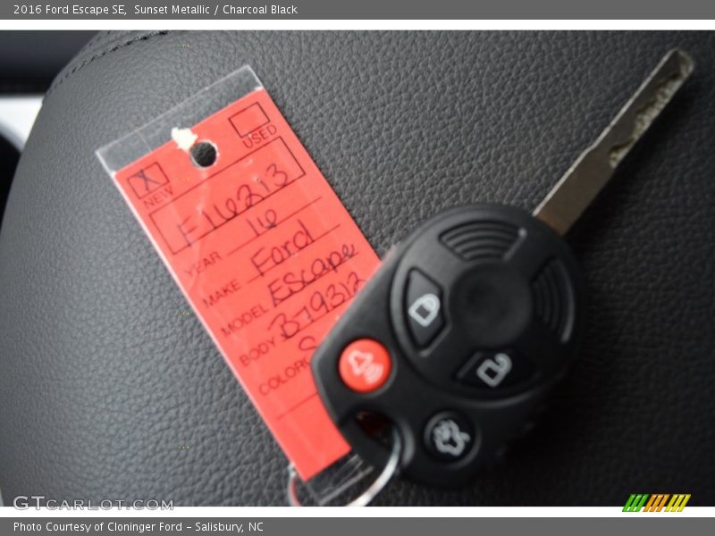 Sunset Metallic / Charcoal Black 2016 Ford Escape SE