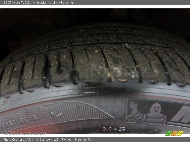 Anthracite Metallic / Parchment 2005 Acura TL 3.2