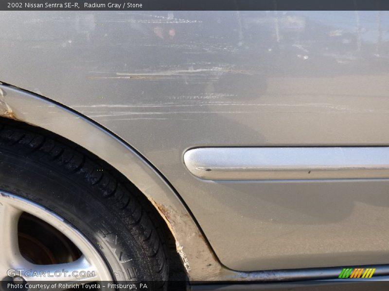 Radium Gray / Stone 2002 Nissan Sentra SE-R