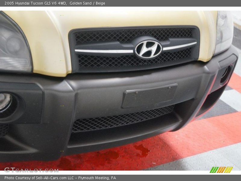 Golden Sand / Beige 2005 Hyundai Tucson GLS V6 4WD