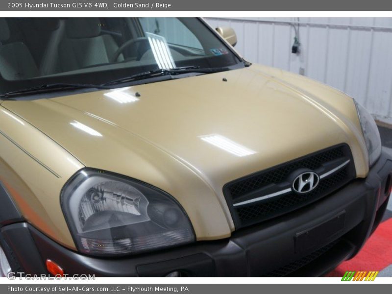 Golden Sand / Beige 2005 Hyundai Tucson GLS V6 4WD