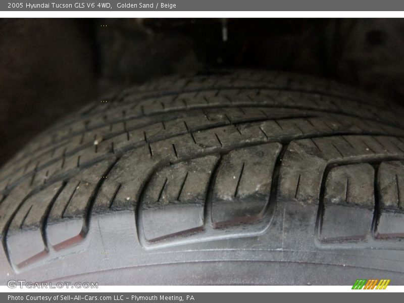Golden Sand / Beige 2005 Hyundai Tucson GLS V6 4WD