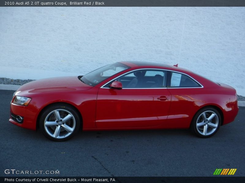 Brilliant Red / Black 2010 Audi A5 2.0T quattro Coupe