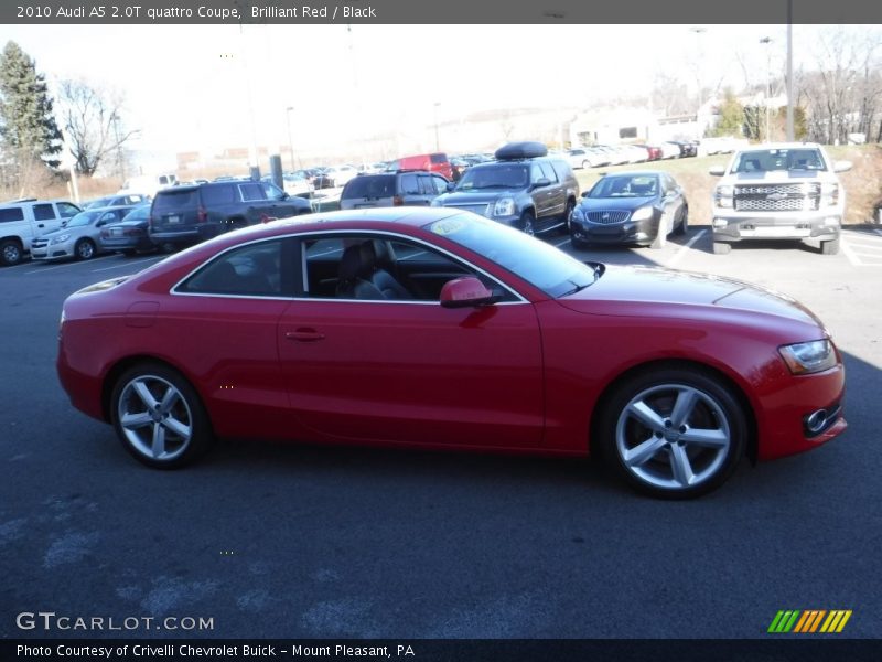 Brilliant Red / Black 2010 Audi A5 2.0T quattro Coupe