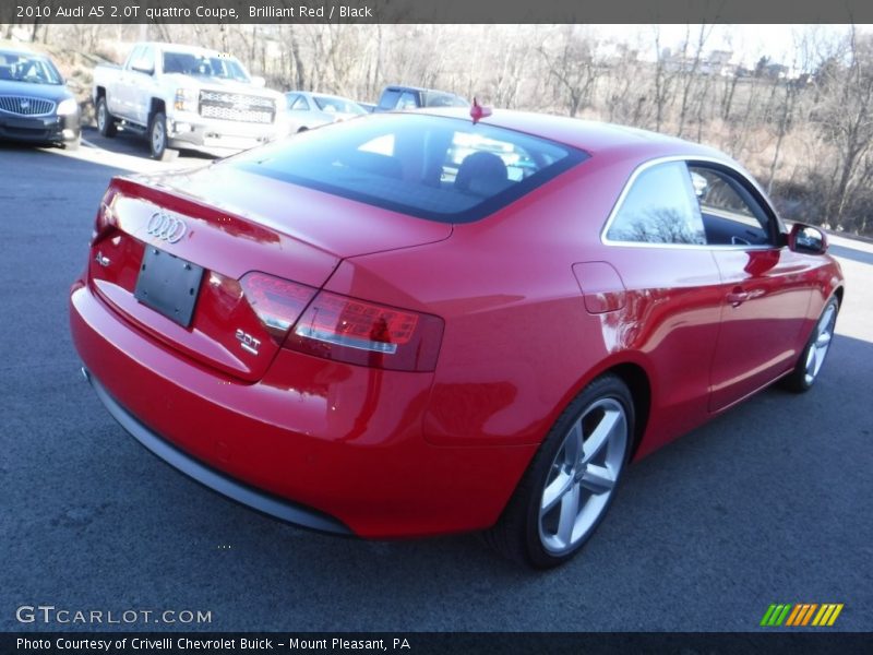 Brilliant Red / Black 2010 Audi A5 2.0T quattro Coupe