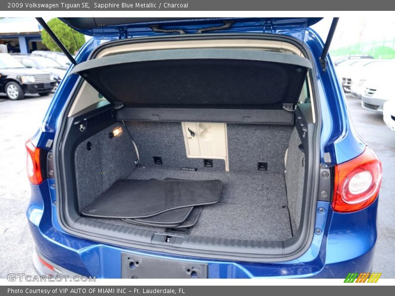 Sapphire Blue Metallic / Charcoal 2009 Volkswagen Tiguan SE