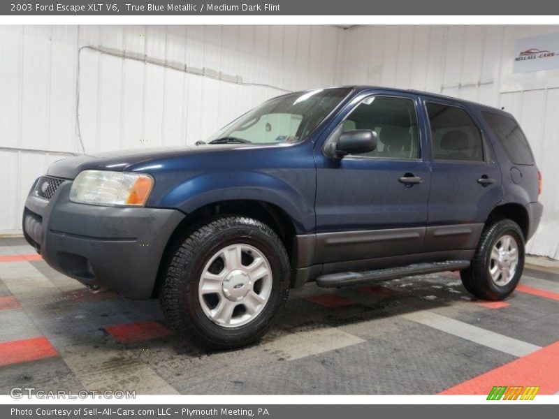 True Blue Metallic / Medium Dark Flint 2003 Ford Escape XLT V6