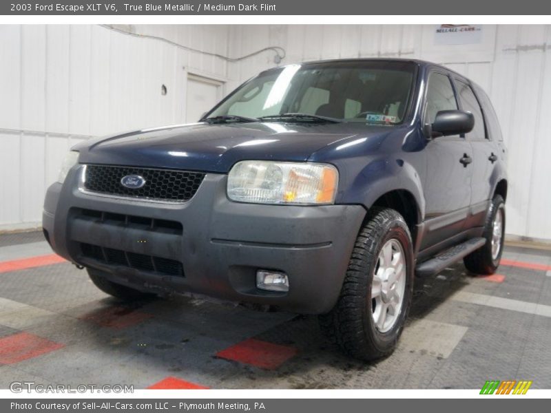 True Blue Metallic / Medium Dark Flint 2003 Ford Escape XLT V6