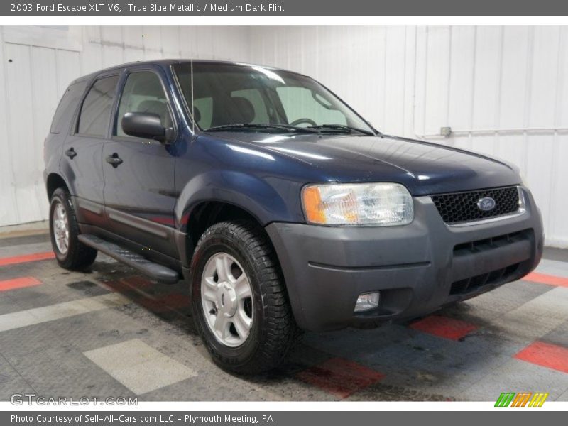True Blue Metallic / Medium Dark Flint 2003 Ford Escape XLT V6