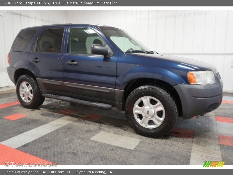True Blue Metallic / Medium Dark Flint 2003 Ford Escape XLT V6