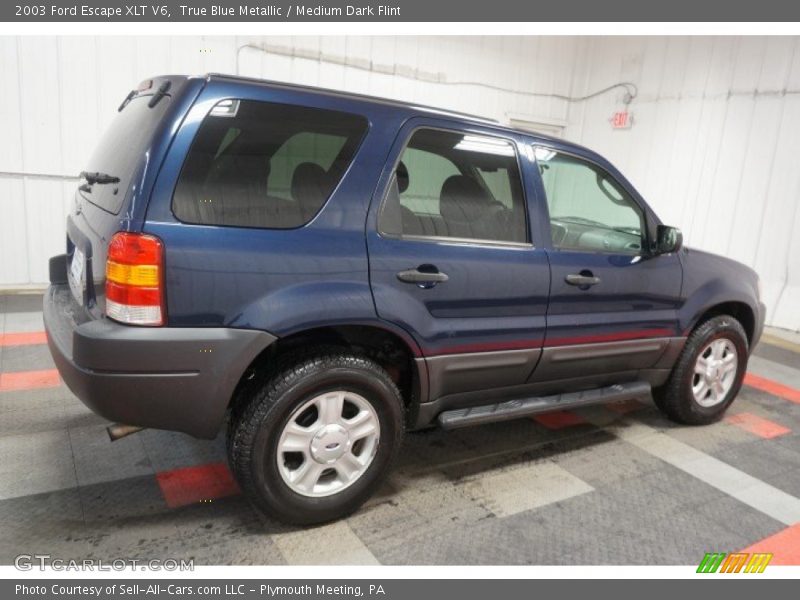 True Blue Metallic / Medium Dark Flint 2003 Ford Escape XLT V6