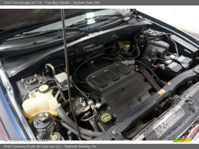 True Blue Metallic / Medium Dark Flint 2003 Ford Escape XLT V6